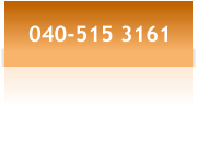 040-515 3161