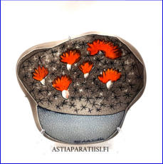 ARABIA, Sein�laatta "  Kaktus ", Design:Helj� Liukko-Sundstr�m, Valmistettu 1990,Korkeus n. 17,5 cm, leveys n. 20 cm 60 �( Tuote nro / Item #168HL )