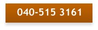 040-515 3161