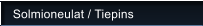 Solmioneulat / Tiepins