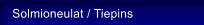 Solmioneulat / Tiepins