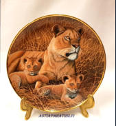 National Wildlife Federation plate - African Lioness and Cubs by Michael Matherly,Amerikkalainen sein�lautanen,halkaisija n.21 cm,0kpl