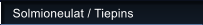 Solmioneulat / Tiepins